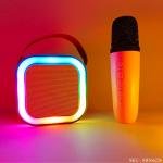 Portable Wireless Karaoke Speaker K-12 with Microphone