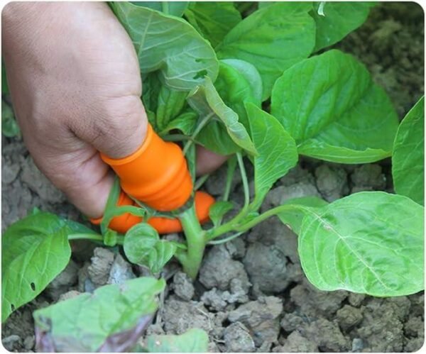 5 in 1 Silicone Finger Cutter Set