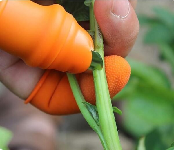 5 in 1 Silicone Finger Cutter Set