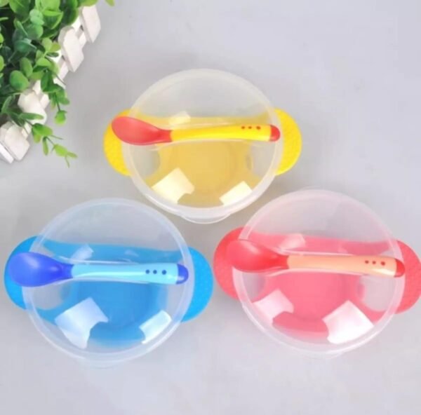 Baby Feeding Bowl And Spoon Set